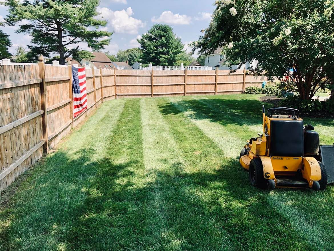 Want a lush lawn without the risk of being exposed to toxic